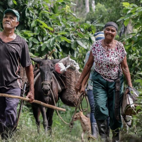 Parceria com BNDES levanta R$ 299 milhões a agricultura familiar na Bahia