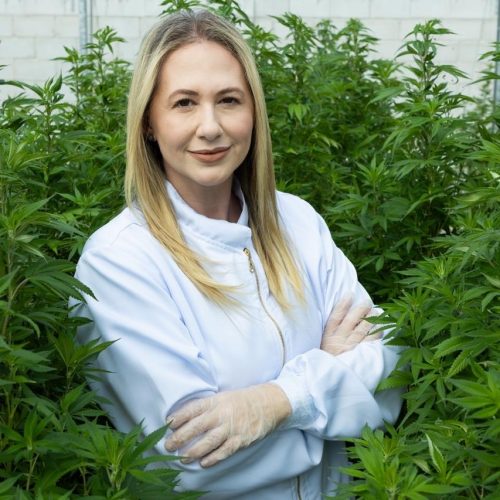 Pesquisadora que abriu caminho à cannabis medicinal vê espaço para país elevar o teor de THC