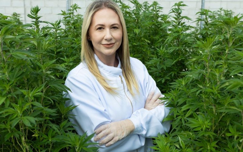 Pesquisadora que abriu caminho à cannabis medicinal vê espaço para país elevar o teor de THC