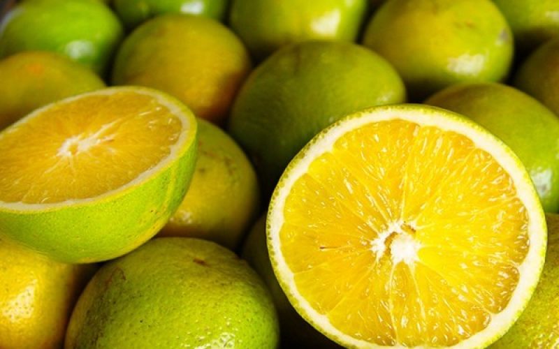 Preços da laranja de mesa seguem em alta nas regiões produtoras
