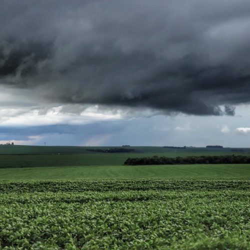 Agro tenta reverter veto à blindagem de orçamento para subsidiar o seguro rural