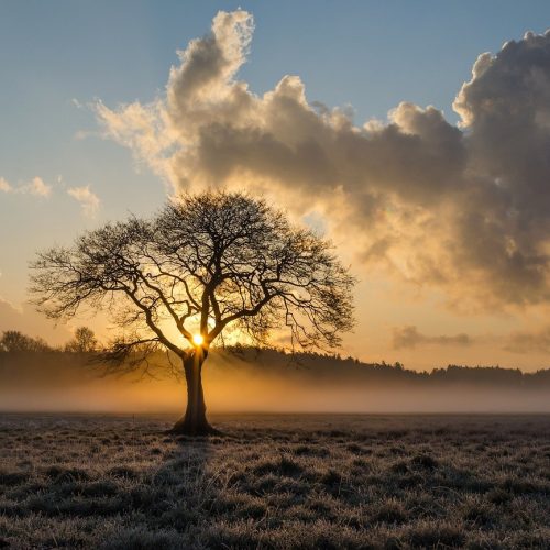 Ar frio avança e temperaturas caem nos próximos dias; veja a previsão