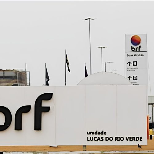 BRF cancela ações próprias antes de fusão com a Marfrig
