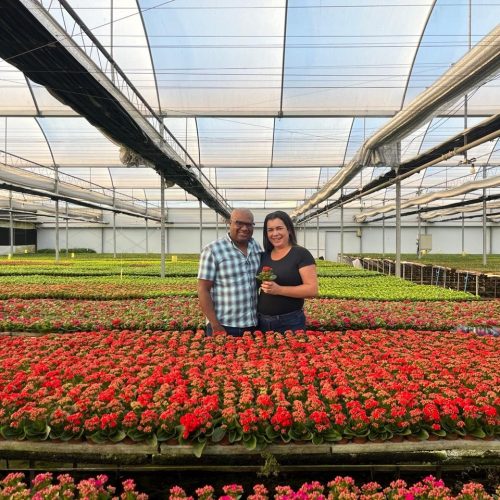 Estes casais deixaram suas profissões para empreender juntos vendendo flores