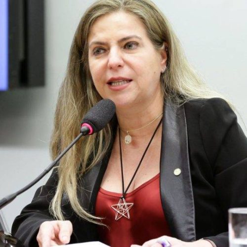 Luizianne Lins completa cinco dias detida em Israel após interceptação de flotilha humanitária