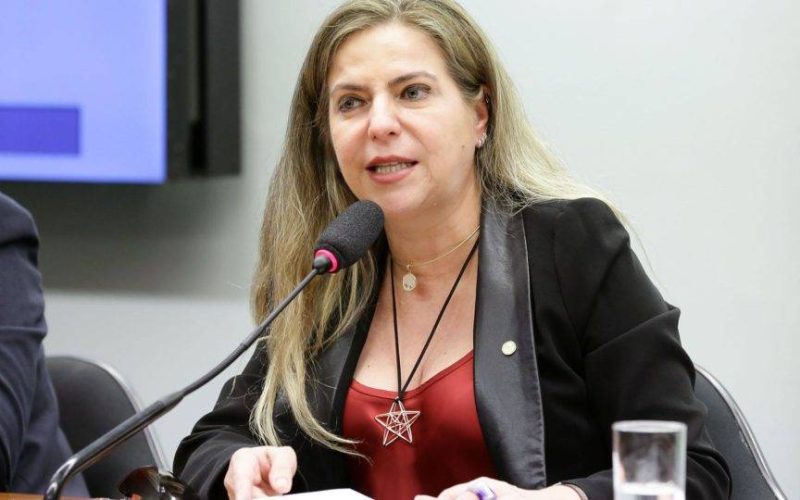 Luizianne Lins completa cinco dias detida em Israel após interceptação de flotilha humanitária