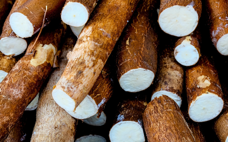 Preço da mandioca sobe pela oitava semana consecutiva