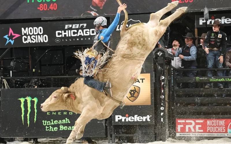 Americano supera melhor touro do mundo e vence etapa da PBR em Chicago