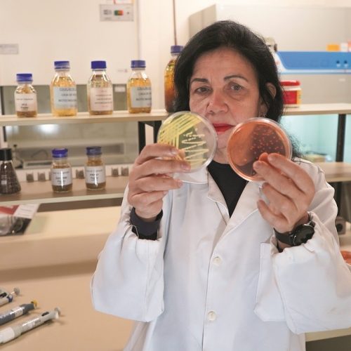 Cientista brasileira ganha ‘Nobel’ da agricultura por pesquisa em biológicos