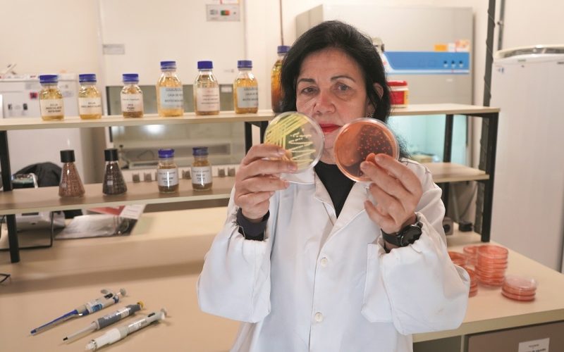 Cientista brasileira ganha ‘Nobel’ da agricultura por pesquisa em biológicos
