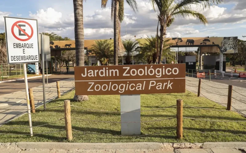Zoológico de Brasília é fechado após suspeita de gripe aviária