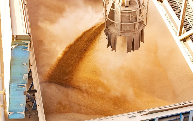 Preço do milho volta a superar R$ 65 a saca em São Paulo