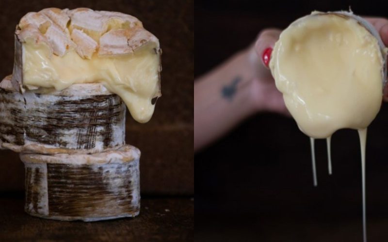 Queijo brasileiro é incluído na lista de melhores do mundo por publicação americana; conheça