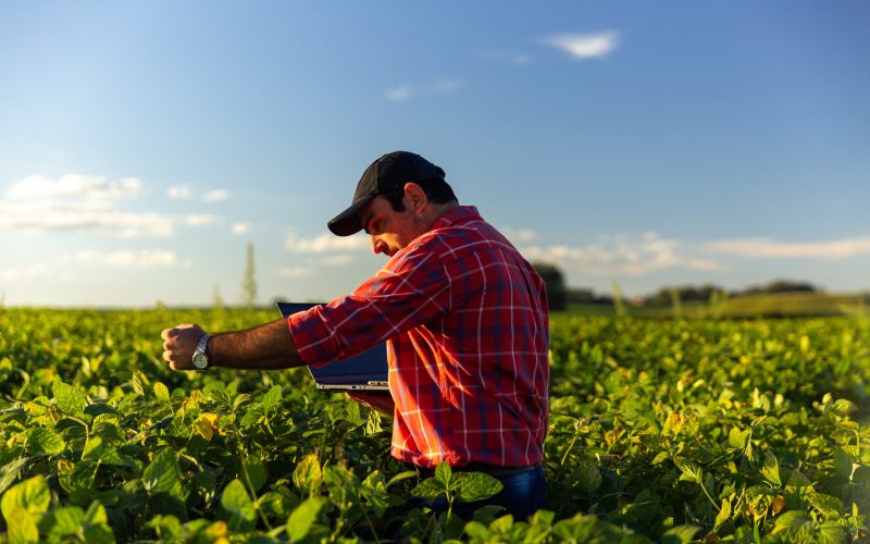 Microsoft compra 2,85 milhões de créditos de carbono de agricultura regenerativa da Indigo