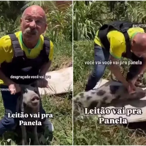 MP pede condenação de Inspetor Alberto por injúria eleitoral contra Evandro Leitão e maus-tratos a animal