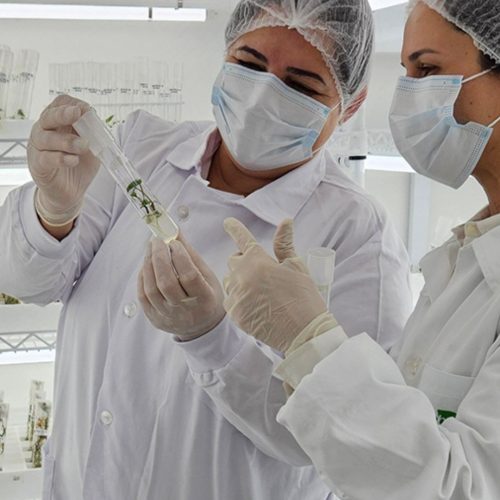 Embrapa pode ter reforço no orçamento para pesquisas