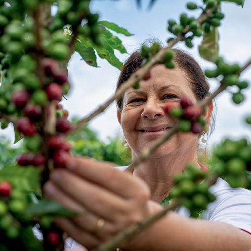 Avançar em posições de liderança é desafio para mulheres do agro