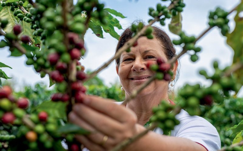 Avançar em posições de liderança é desafio para mulheres do agro