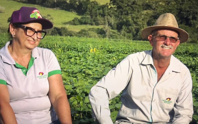 Produtores de batata-doce no interior de SP investem em tecnologia e exportação