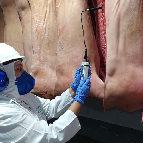 Governo autoriza frigoríficos a contratar empresas privadas para apoio à inspeção de abates