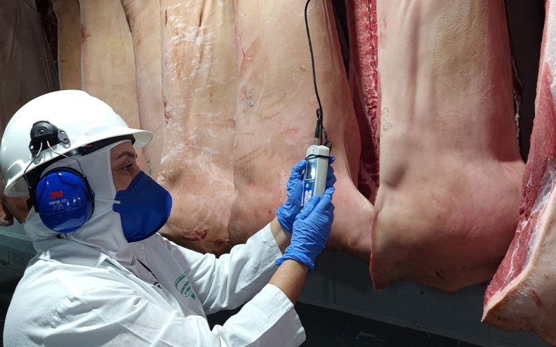 Governo autoriza frigoríficos a contratar empresas privadas para apoio à inspeção de abates