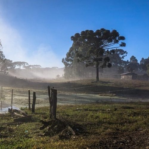 Quarta frente fria começa amanhã, e julho abre com risco de geada no Sul