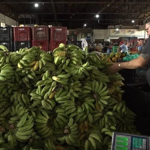 Cesta básica fica mais barata em Fortaleza: leite, banana e feijão têm queda nos preços