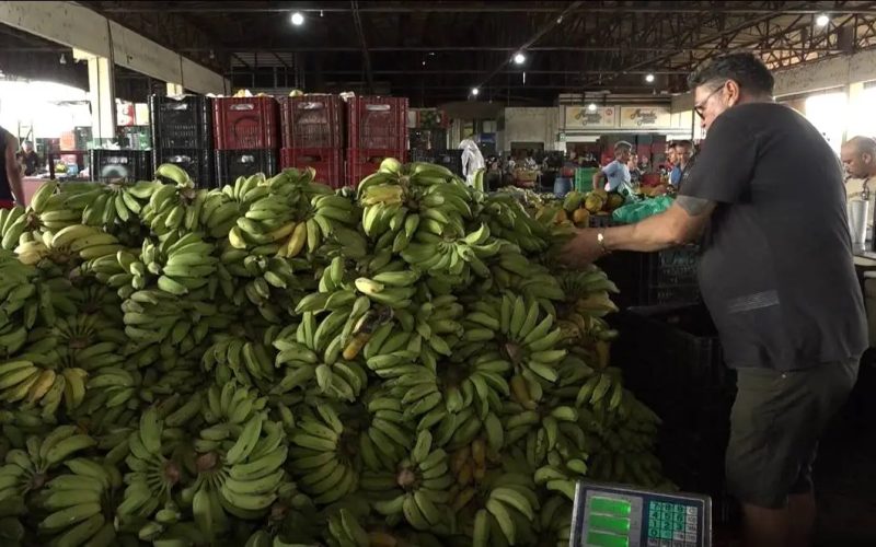 Cesta básica fica mais barata em Fortaleza: leite, banana e feijão têm queda nos preços