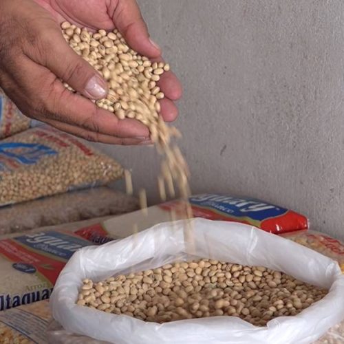 Brasil pode bater novo recorde na produção de grãos na safra 2024/2025