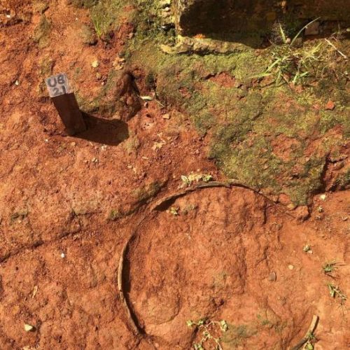 Museu Nacional realiza nova escavação arqueológica no Maciço de Baturité, no Ceará