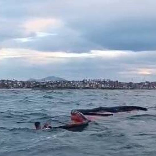 Kitesurfistas à deriva são resgatados por guardas municipais na Praia do Havaizinho, em Fortaleza