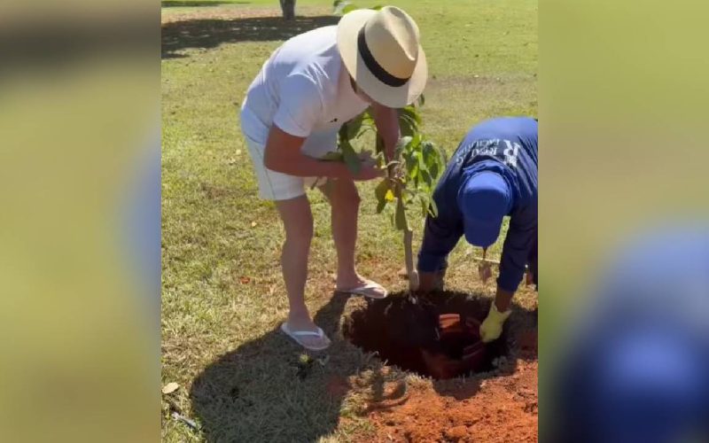 Lula planta baobá no Alvorada e diz que árvore é para que futuros presidentes ‘tenham juízo’