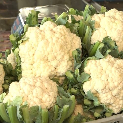 Couve-flor cearense se destaca na Ceasa com aumento de produção e procura pelo alimento
