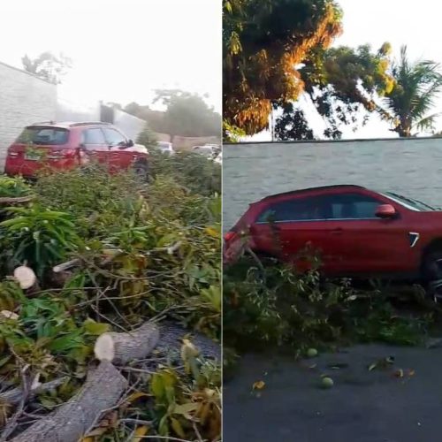 Idosa morre após ser atingida por carro na calçada de casa em Garrote, Caucaia