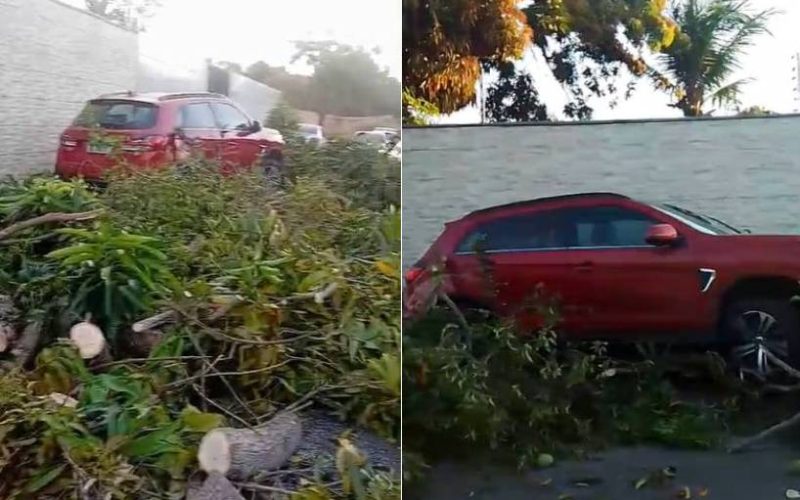 Idosa morre após ser atingida por carro na calçada de casa em Garrote, Caucaia