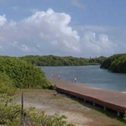 Conferência em Fortaleza debate ampliação de áreas de proteção ambiental prevista no novo Plano Diretor