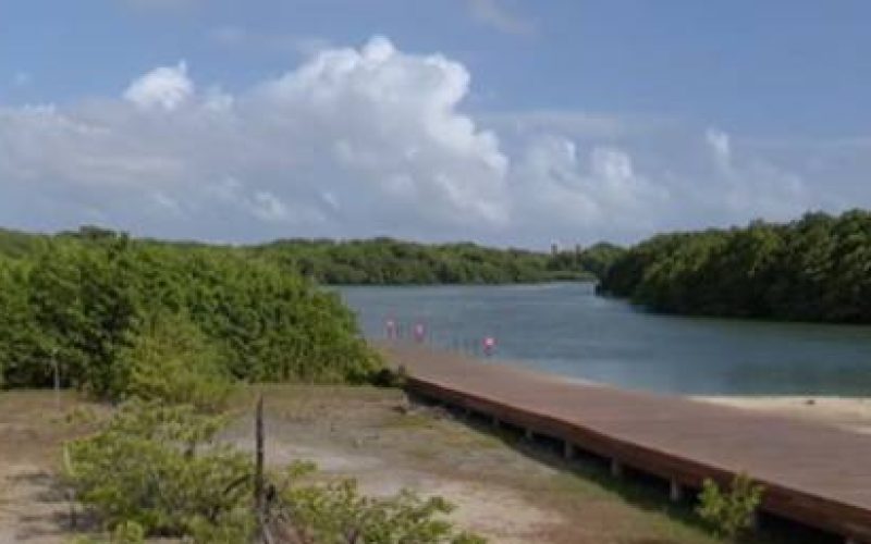 Conferência em Fortaleza debate ampliação de áreas de proteção ambiental prevista no novo Plano Diretor
