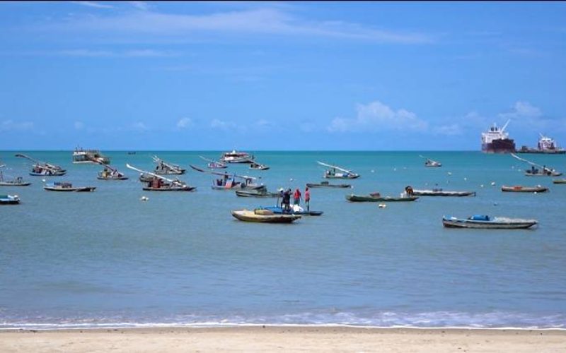 Entenda como funcionam as regras do período de defeso do caranguejo-uçá e da lagosta