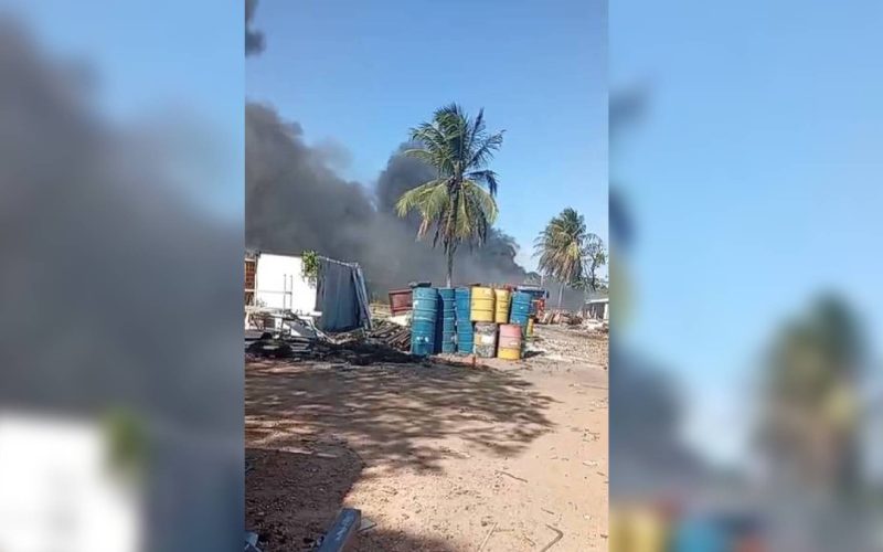 Homem causa incêndio em sucata ao tentar espantar enxame de abelhas em Fortaleza