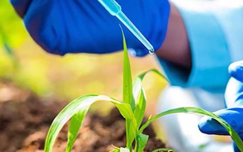 Bioinsumos ganham força como alternativa sustentável para elevar a produtividade no campo