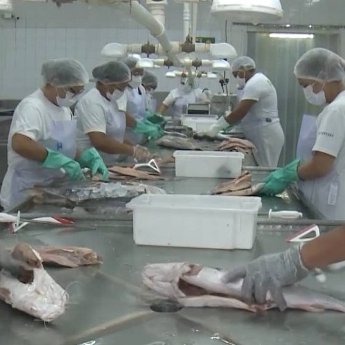 Tarifaço de Donald Trump é tema de debates durante realização da Semana Nacional do Pescado