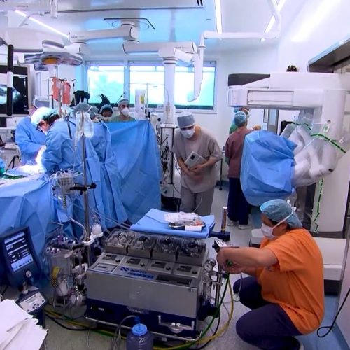 Campanhas de conscientização ajudam a reduzir recusa familiar por doação de órgãos no Brasil