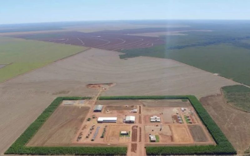Lavouras da SLC Agrícola vão gerar créditos de carbono