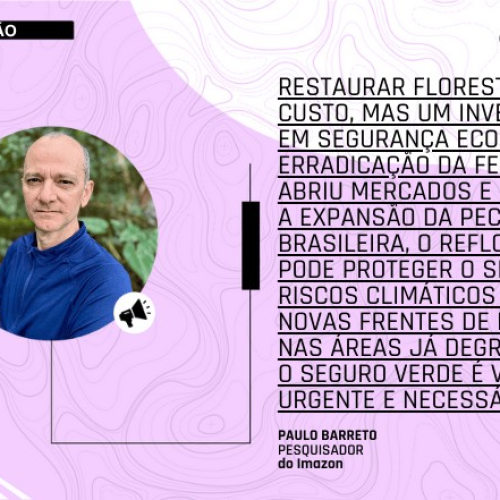 Restaurar florestas é investimento em segurança econômica