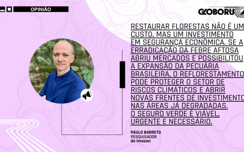 Restaurar florestas é investimento em segurança econômica