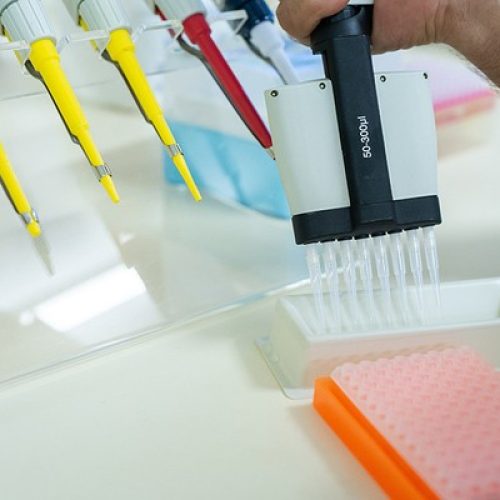 Adaptação às mudanças climáticas exige investimentos concretos em ciência e inovação, alerta Embrapa