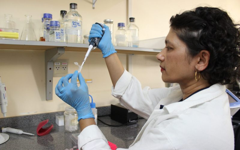 Ajustar regras sobre biotecnologia com a China pode render US$ 1,5 bi por ano ao agro brasileiro