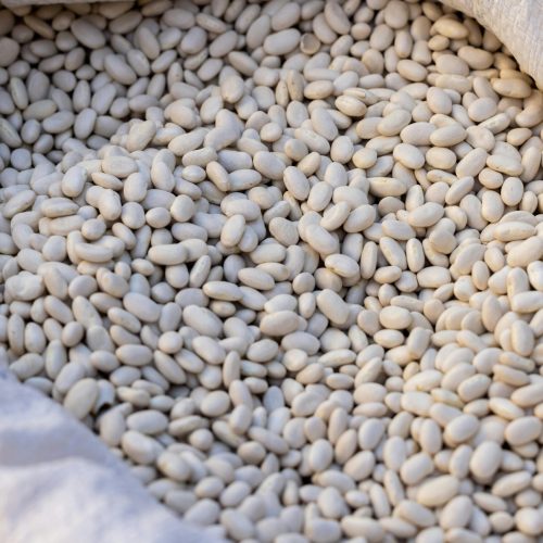 Acordo entre Mercosul e União Europeia abre oportunidades para feijão do Brasil