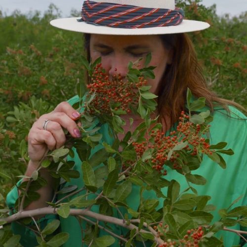 Produtora de pimenta-rosa do ES passa a ser fornecedora exclusiva da Natura