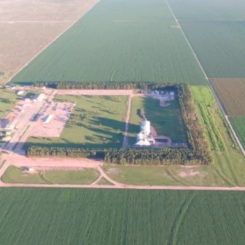 SLC fecha acordo com fundos do BTG para negociação de terras